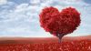 Love Heart Tree Wallpaper for Desktop and Mobiles