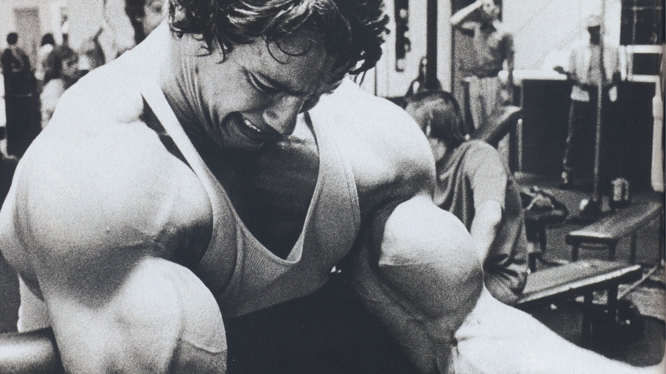 Arnold Schwarzenegger bodybuilding HD Wallpaper iPhone 7 / iPhone 8 - HD  Wallpaper 