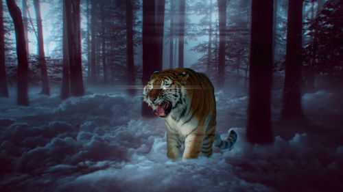 Amazing tiger made in Photoshop HD Wallpaper