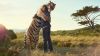 Animals in the savanna HD Wallpaper
