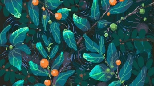 Berries water painting HD Wallpaper