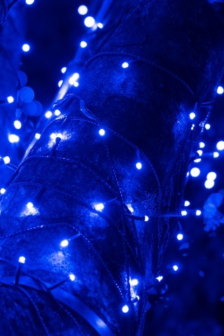 Blue Xmas lights HD Wallpaper