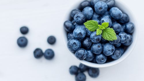 Blueberry Hd Wallpaper for Desktop and Mobiles