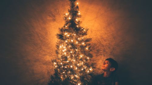 Boy Beside Christmas Tree HD Wallpaper