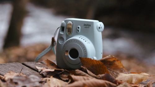 Camera covered by leaves HD Wallpaper