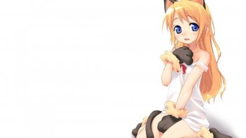 Cat Anime Girl HD Wallpaper