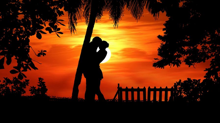 Couple silhouette kissing under a tree HD Wallpaper