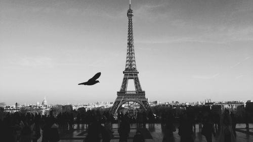 Download Free Eiffel Tower Cityscape Full HD Wallpaper