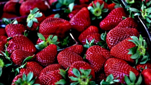 Download Free Strawberry Hd Wallpaper for Desktop and Mobiles