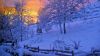 Fence covered in snow HD Wallpaper