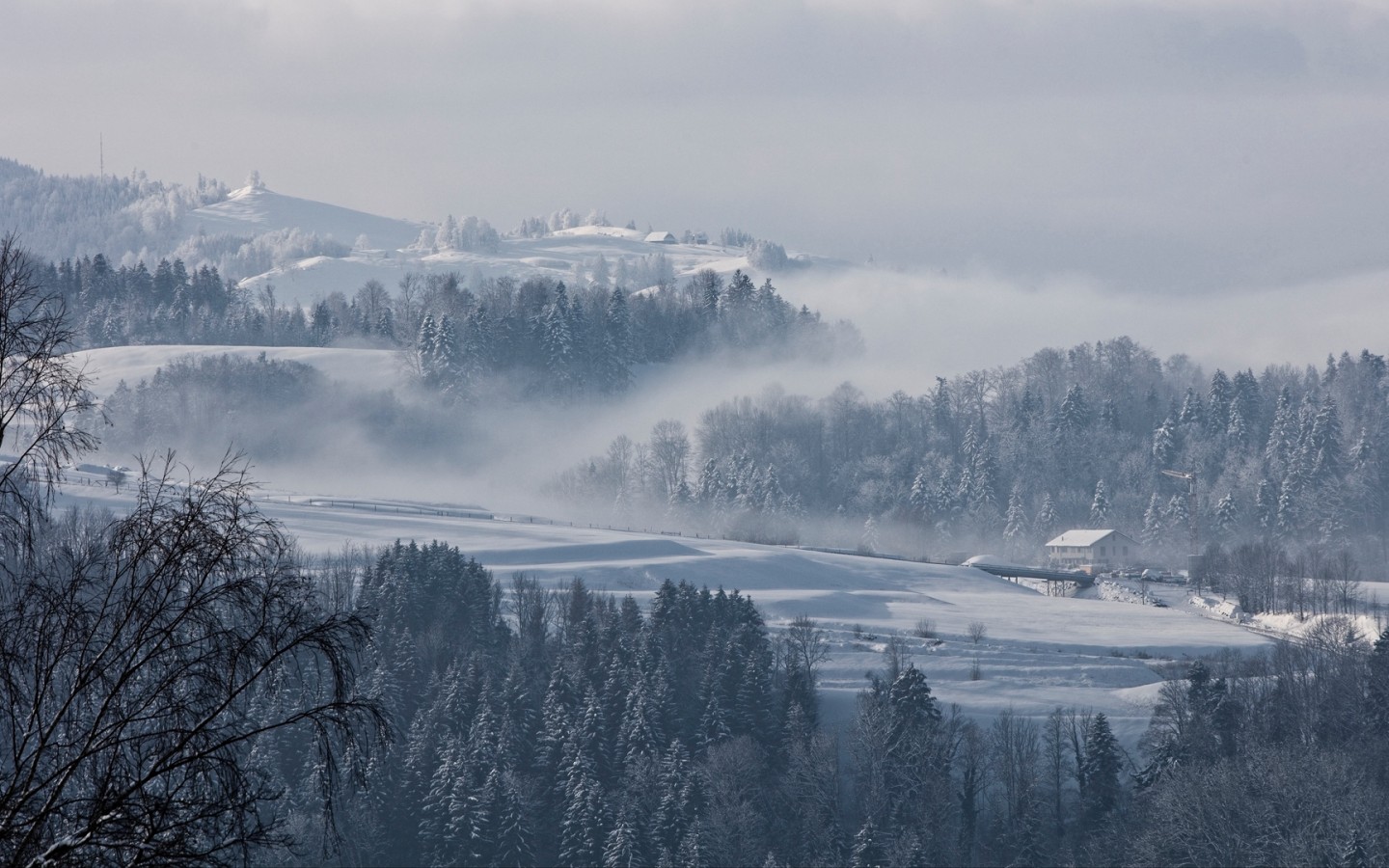 Fog over Switzerland HD Wallpaper