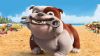 Free Download Dog Cartoon Hd Wallpaper for Desktop and Mobiles