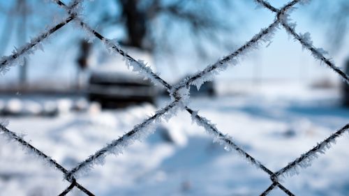 Frost over the fence HD Wallpaper