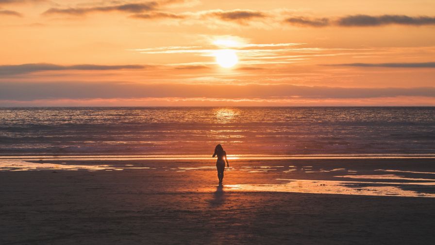 Girl walking at the beach HD Wallpaper