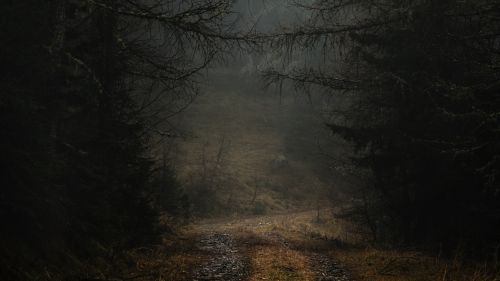 Gloomy path HD Wallpaper
