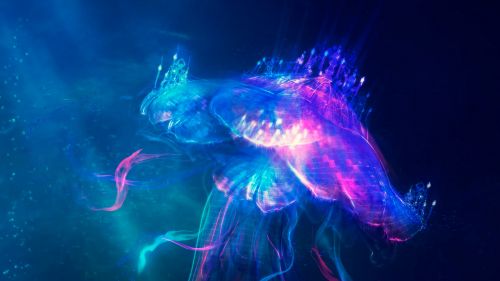 Glowing jellyfish HD Wallpaper