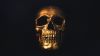 Gold skull HD Wallpaper