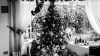 Grayscale Photo of Christmas HD Wallpaper