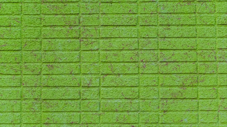 Green brick wall HD Wallpaper