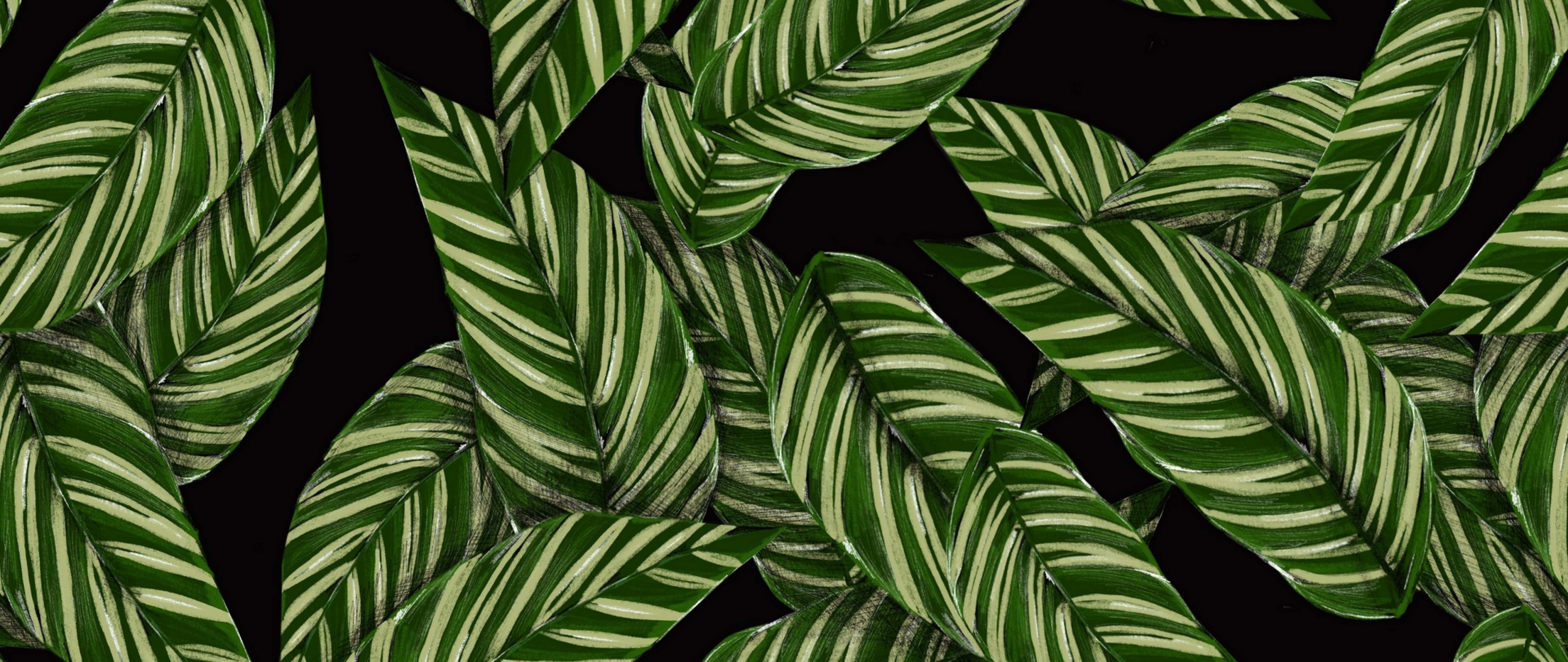 Green leaves patern HD Wallpaper