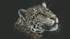 Grey Leopard Artwork Wallpaper in HD