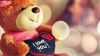 I Love You Teddy Bear Hd Wallpaper for Desktop and Mobiles
