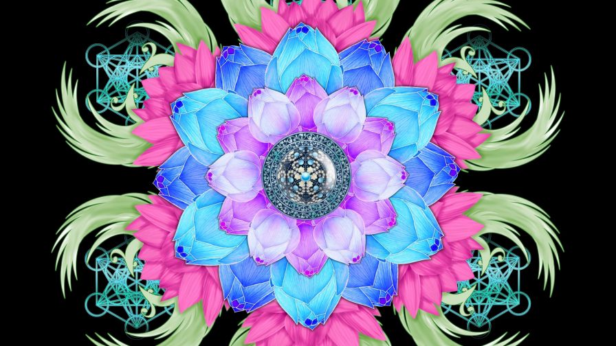 Lotus flower patterns HD Wallpaper
