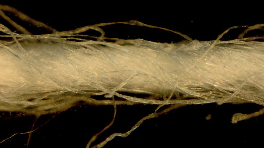 Microscope image of cotton yarn HD wallpaper