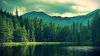 Mountain Forest HD Wallpaper