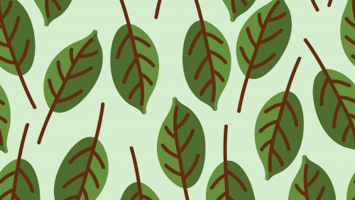 Pattern of leaves HD Wallpaper