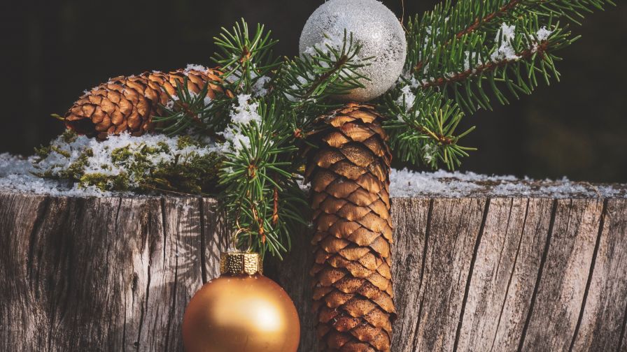 Pine Cones And Bauble HD Wallpaper