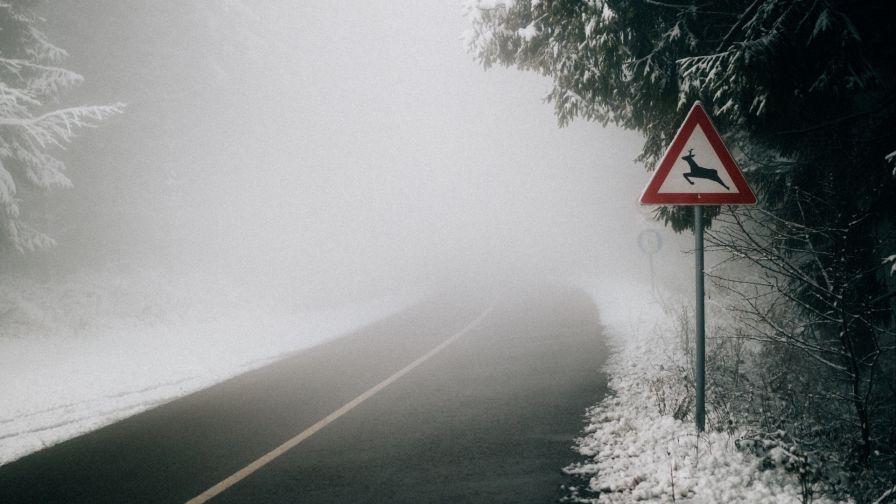Road sign covered in fog HD Wallpaper