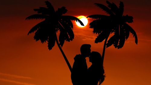 Romance under a palm tree HD Wallpaper