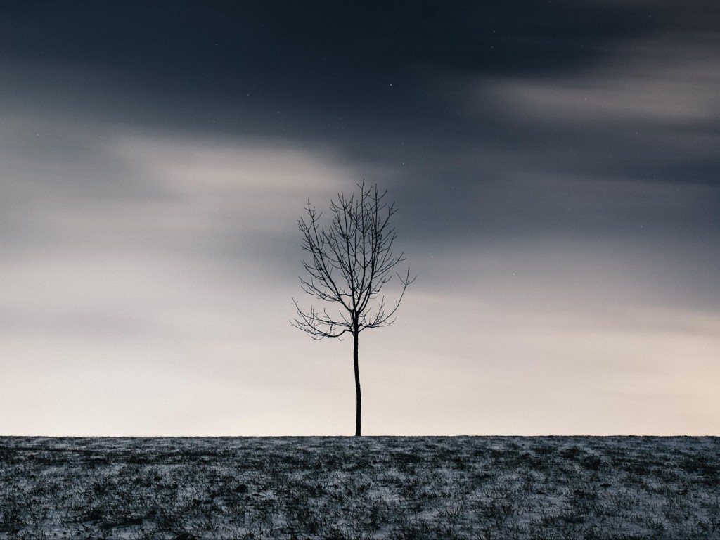 Tree in the middle of nowhere HD Wallpaper