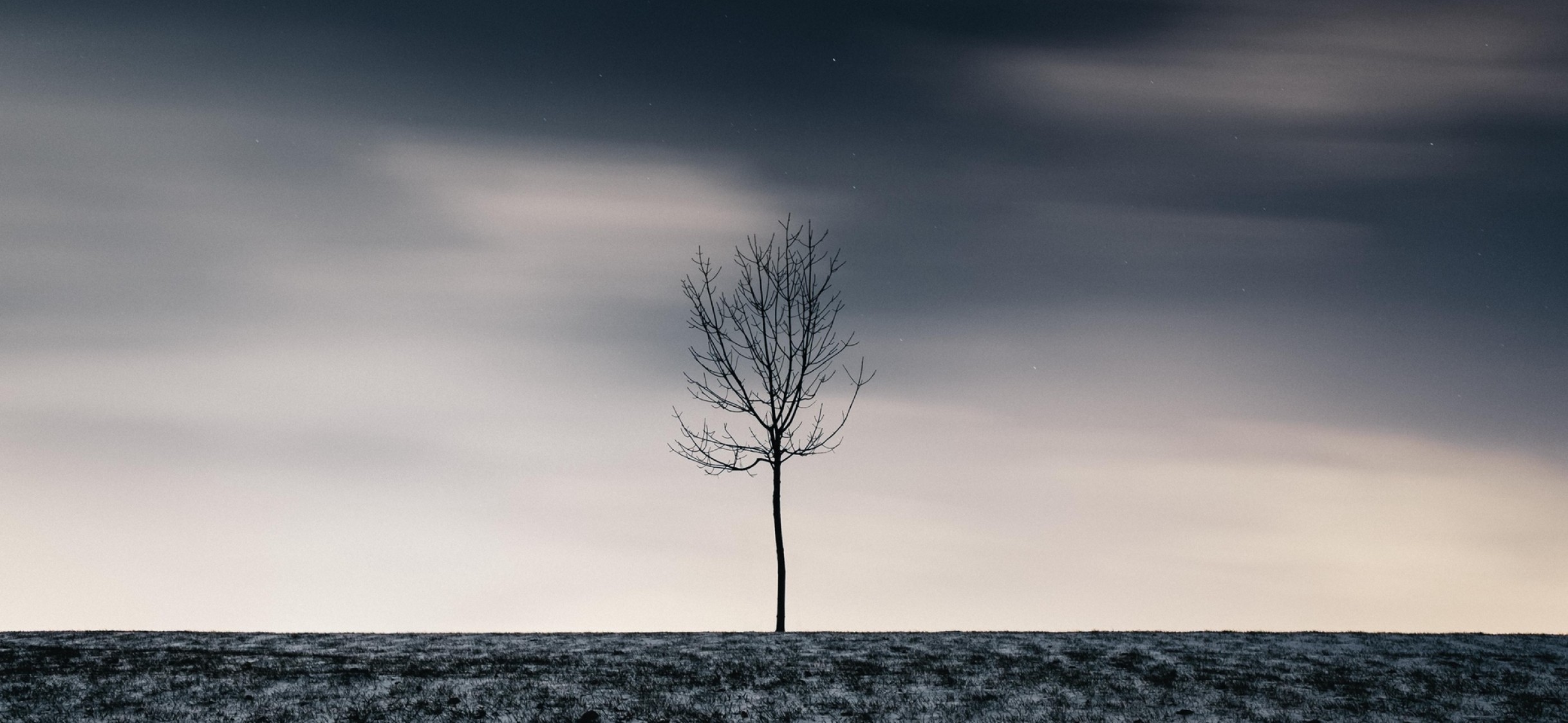 Tree in the middle of nowhere HD Wallpaper