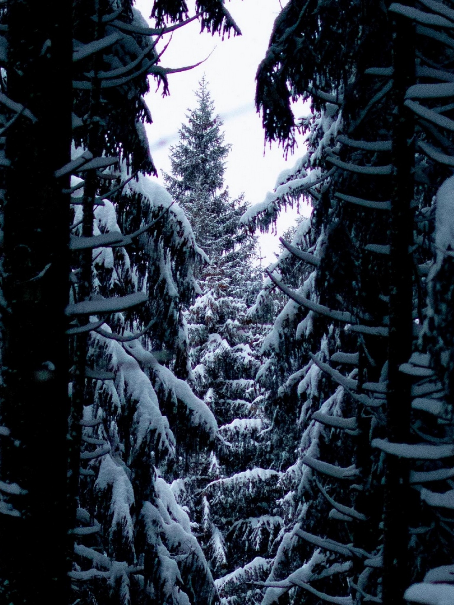 Passage full of snow HD Wallpaper