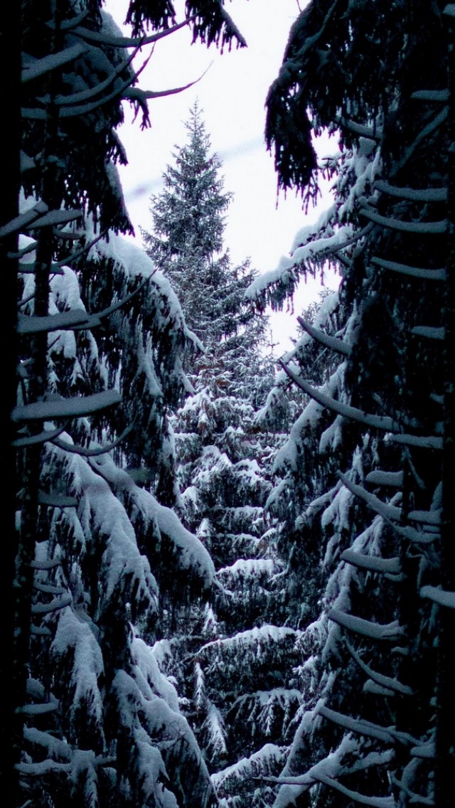 Passage full of snow HD Wallpaper