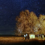 Trees under a beautiful night  sky HD Wallpaper