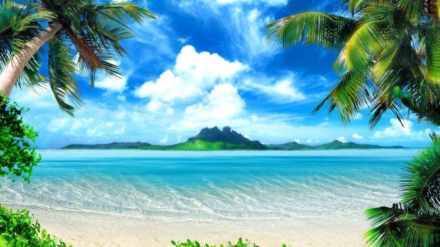 Tropical Ocean Island Palm Trees HD Wallpaper