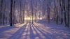 Winter Solstice HD Wallpaper