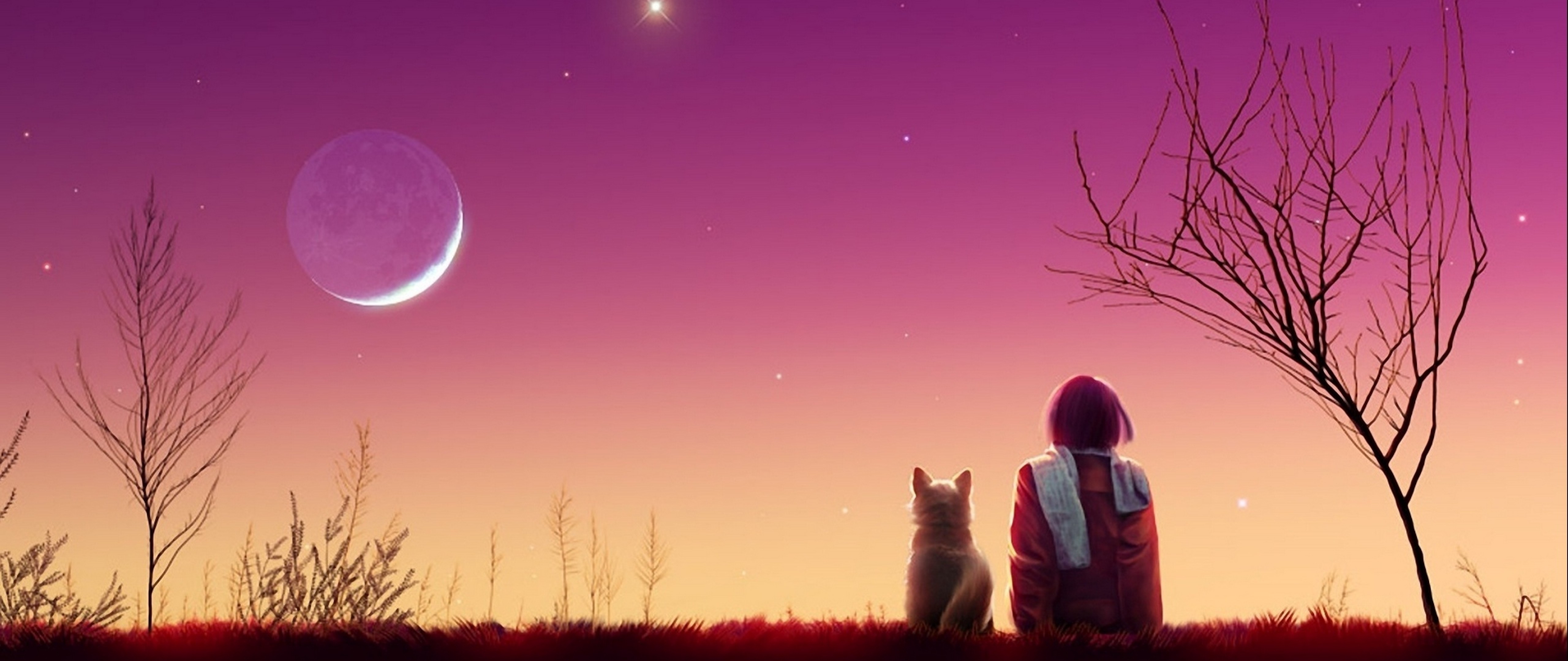 Anime girl watches the sunset with her cat HD Wallpaper 4K Ultra HD