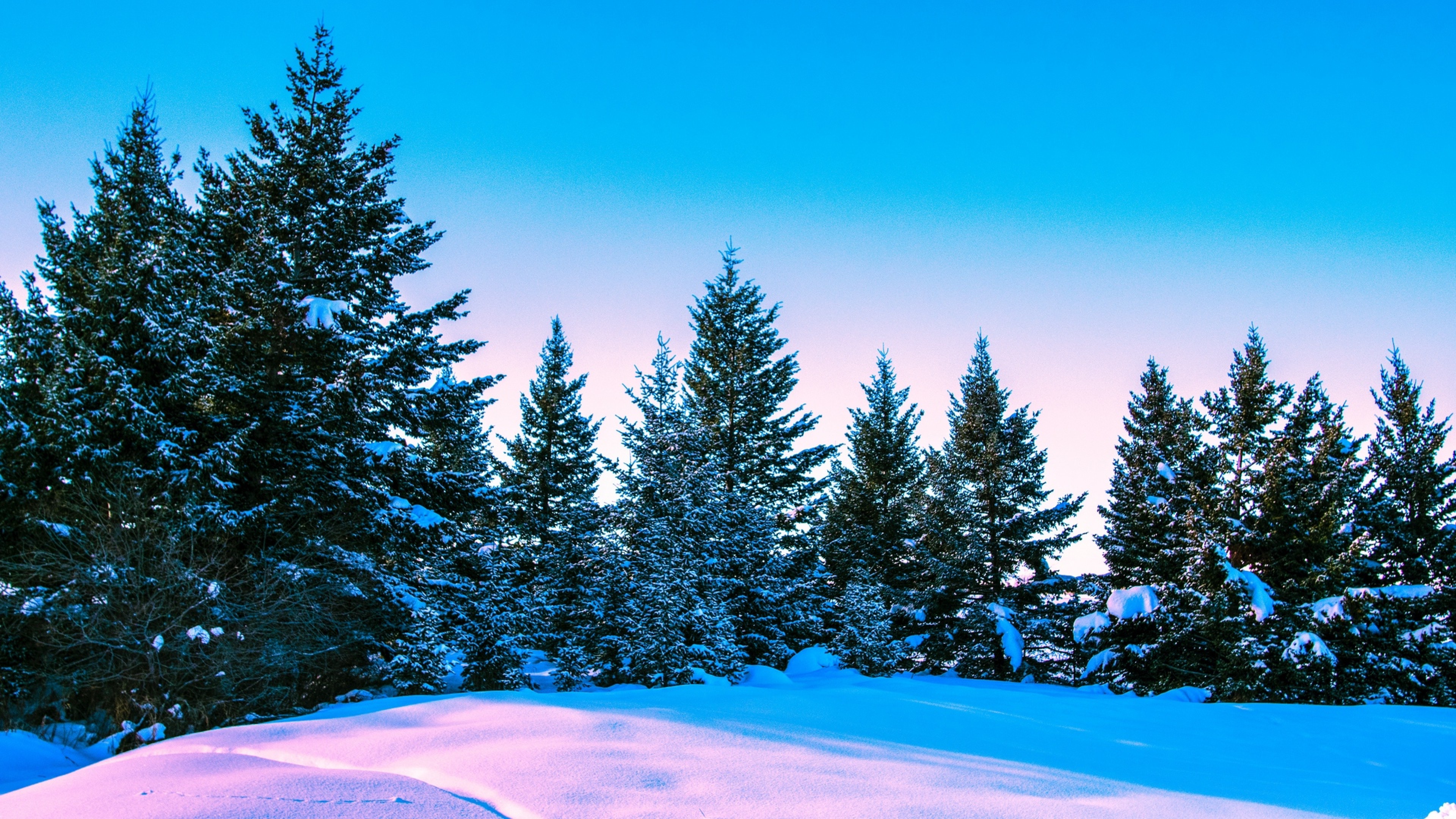 Bright sky on a wintery day HD Wallpaper 4K Ultra HD - HD Wallpaper -  