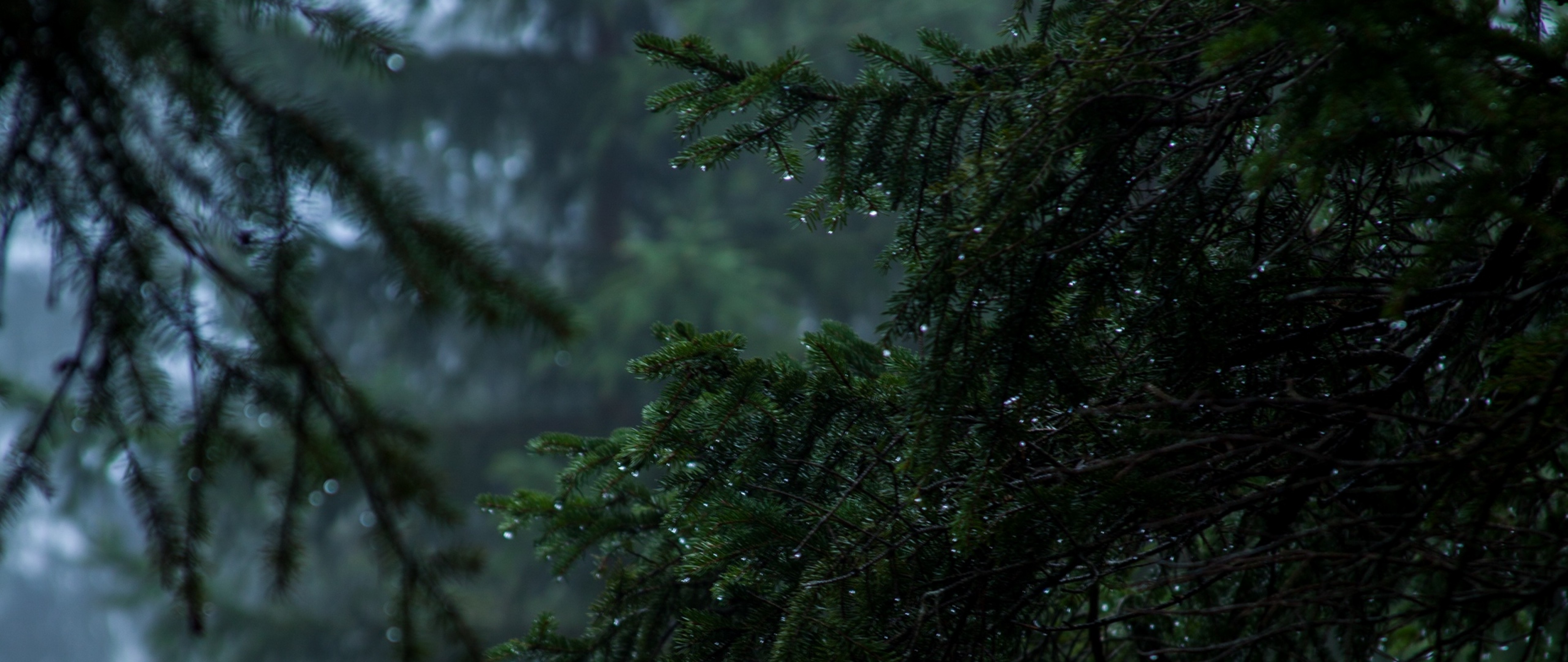 Featured image of post Rainy Night Desktop Wallpaper : Rainy night in all categories.