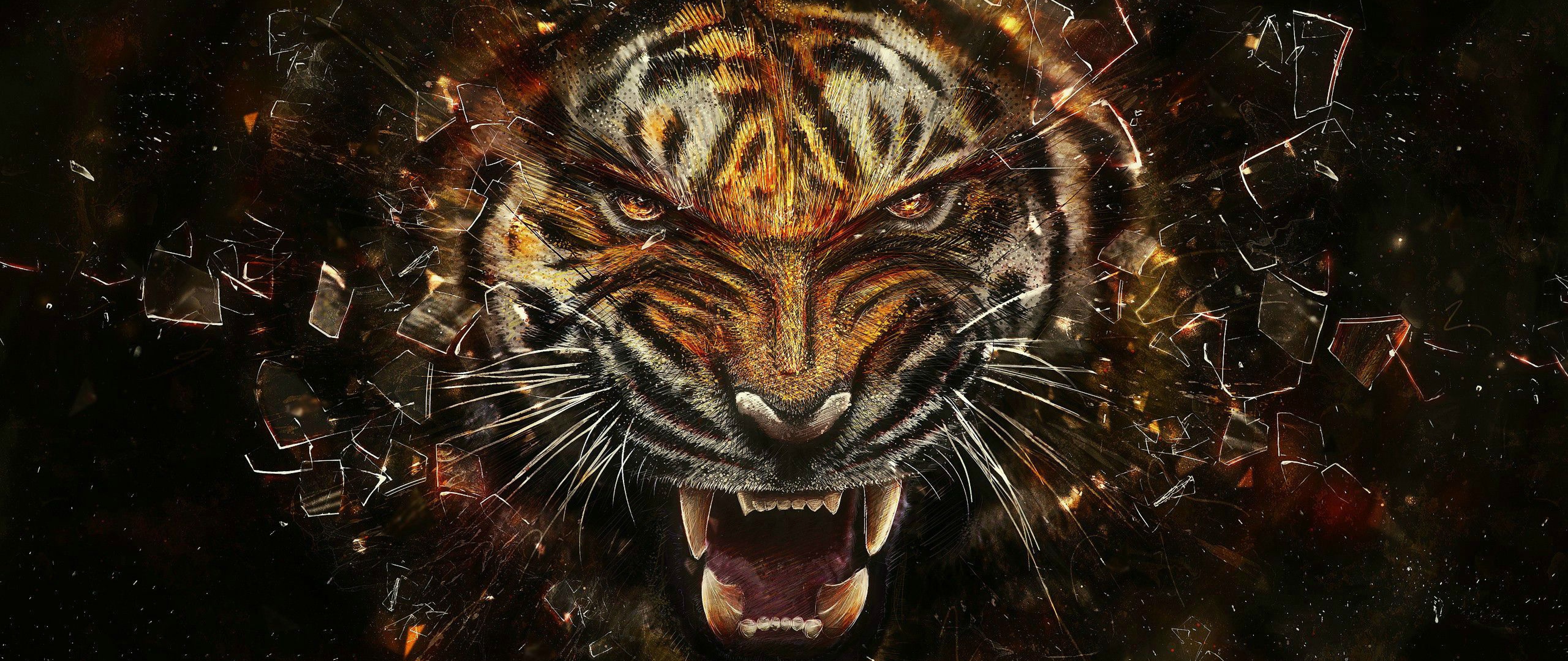 Tiger Ultra HD wallpaper  Pxfuel