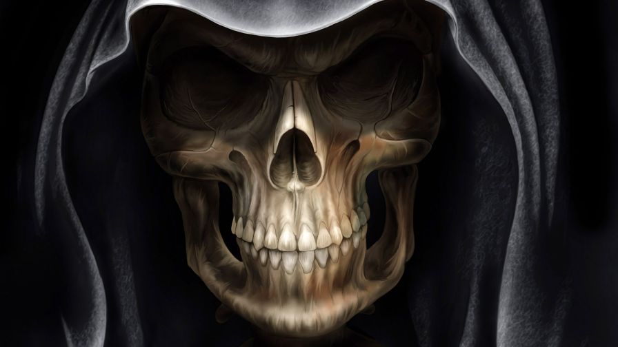 3D Free Skull Design Hd Wallpaper for Desktop and Mobiles