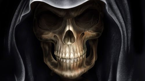3D Free Skull Design Hd Wallpaper for Desktop and Mobiles