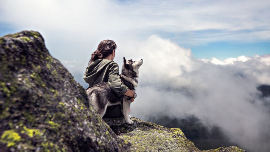 A Boy and His Dog