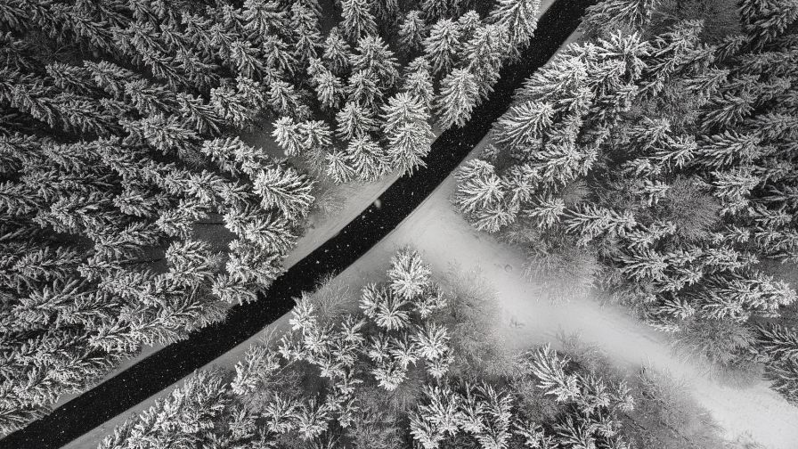 Aerial view of a snowy road HD Wallpaper