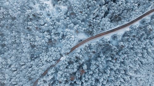 Aerial view of a white forest HD Wallpaper