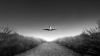 Airplane takeoff HD Wallpaper